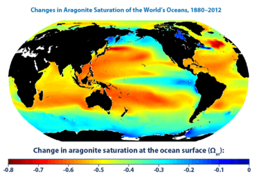 Changes in aragonite saturation of the world's oceans, 1880-2012 (US EPA)