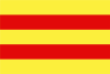 Flag of Baraya