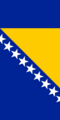 Flag of Bosnia and Herzegovina (vertical)
