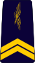 French Air Force-sergeant.svg