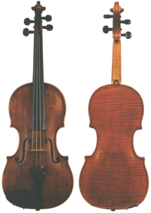 Molineux Violin.png