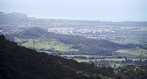 View of Naguabo from El Yunque