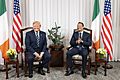 President Trump Meets with the Taoiseach of Ireland (48012258958)