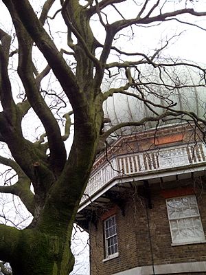 28-inch telescope, Royal Observatory and tree, Greenwich, London, UK, 2015