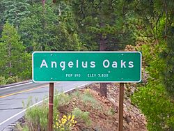 Angelus-Oaks-CA-Sign.jpg