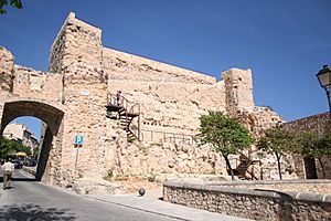 Castillo Cuenca (siglo XIII)