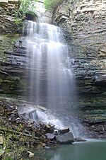 Chedoke Falls - panoramio (4).jpg