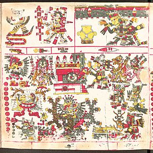 Codex Borgia page 50