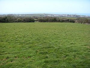 Fields by Downrow - geograph.org.uk - 742006
