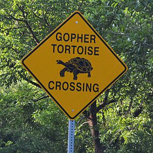 Gopher Tortoise Crossing - Road Sign