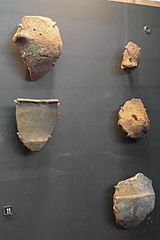 Middle Neolithic shards, Bougon.Musée de Bougon