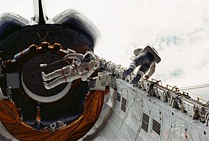 STS-6 Musgrave & Peterson Challenger Cargo Bay