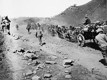The Second Anglo - Boer War, South Africa 1899 - 1902 Q72044