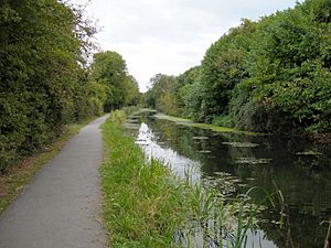 Wilts-and-Berks-Canal-Swindon