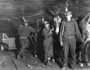 Child coal miners (1908) crop