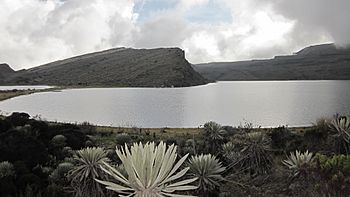 Laguna de Chisacá, Páramo de Sumapaz, Colombia.JPG
