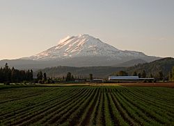 Mt Adams from Trout Lake Highway