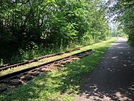 Old Monon Railroad tracks
