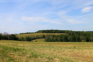 Fields in Mehoopany Township
