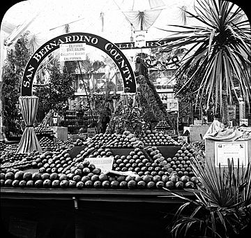 World's Columbian Exposition- Horticultural Building, Chicago, United States, 1893.