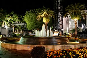 Fountain of Fame by night - Movie World