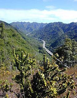 Interstate H-3 in Halawa Valley looking towards the Koʻolau crest
