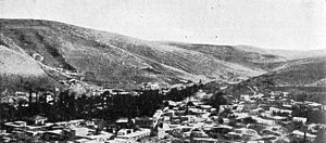 Hill 3039 at Amman