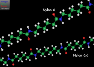 Nylon6 and Nylon 66