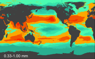 Ocean plasic count density