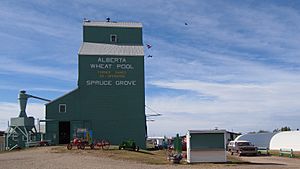 Spruce Grove Alberta Grain Elevator (10100112966)