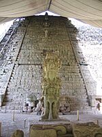 Stela M and the Hieroglyphic Stairway on the archeological site of Copán, a mayan city.jpg