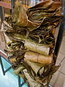 Dried bundles of leaves of Ilex guayusa