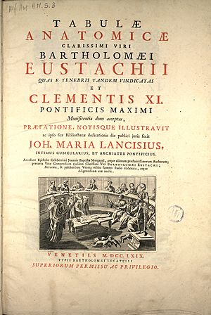 Eustachi - Tabulae anatomicae, 1769 - 2981432