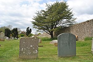 Firle Parish Churchyard, 2017