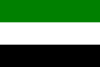 Flag of Becerril