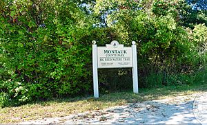 Montauk-County-Park-Nature-trail2017.jpg