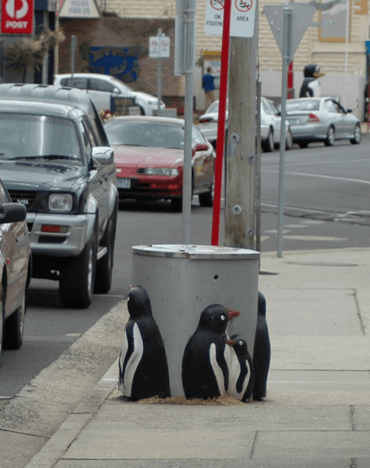 Penguin-bin.png