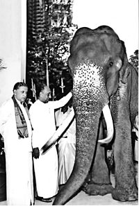Photograph of Raja (elephant) with Hon J.R Jayewardene & Dr. Nissanka Wijeyeratne