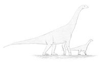 Spinophorosaurus restoration.jpg