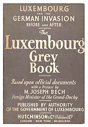 The Luxembourg Grey Book