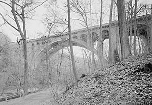 Walnut Lane Bridge (cropped).jpg