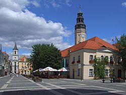 Town Hall and Main Square