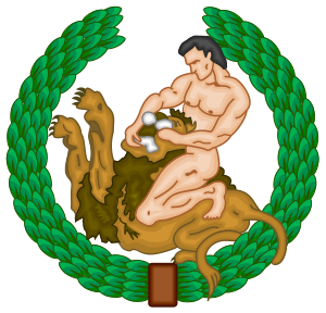 CNT Emblem