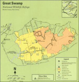 Great swamp map