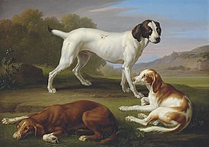 Johann Wenzel Peter - A pointer and two setters in a classical landscape