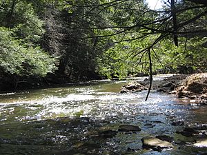 Larrys Creek in SGL 114