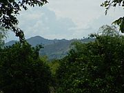 Mountainous region around Armenia, Colombia