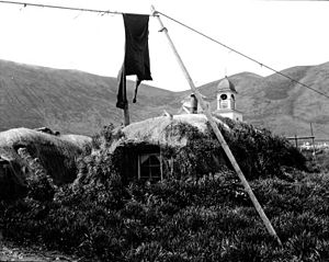 Native barabaras, or sod huts, probably Eskimo, Karluk, Kodiak Island, Alaska, June 1906 (COBB 6)