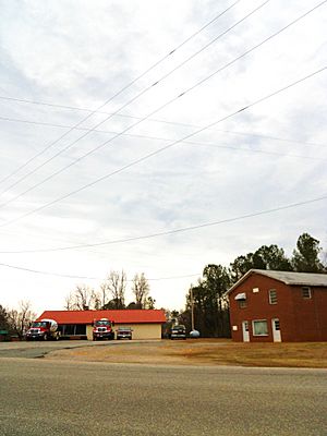 New Site Alabama.JPG