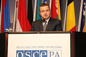 OSCE CiO Ivica Dacic addresses the Assembly, Helsinki, 9 July 2015